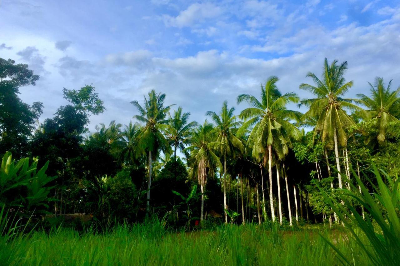 Chemel Homestay Kuta  Exterior photo